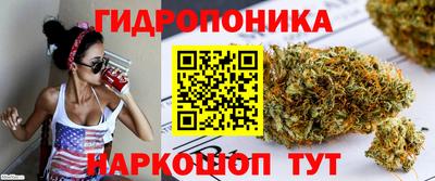 соль ск Аша