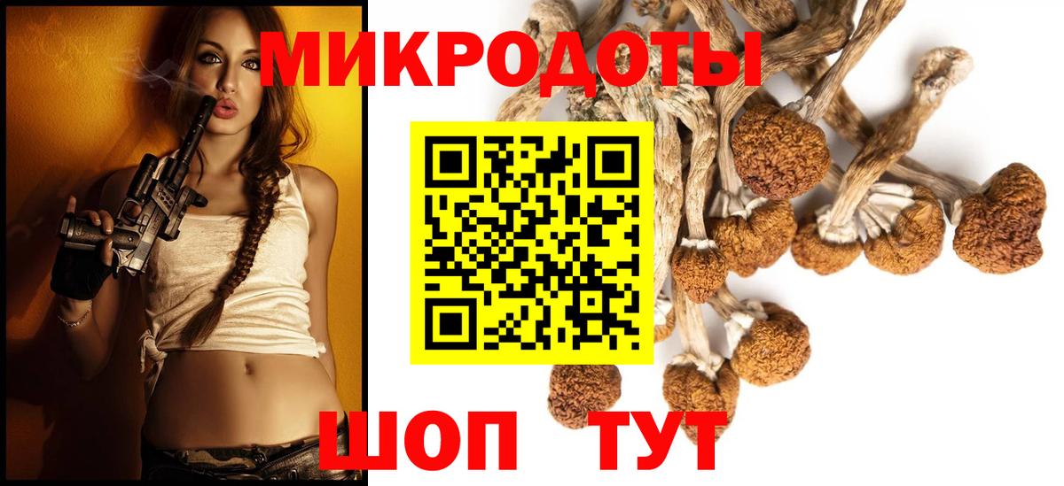 Галлюциногенные грибы Psilocybe  Вход с VPN  Ахтубинск 